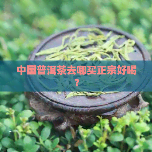 中国普洱茶去哪买正宗好喝？