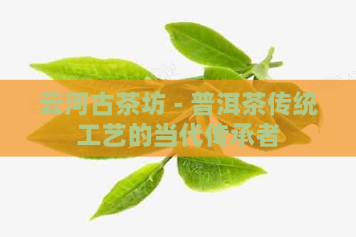 云河古茶坊 - 普洱茶传统工艺的当代传承者