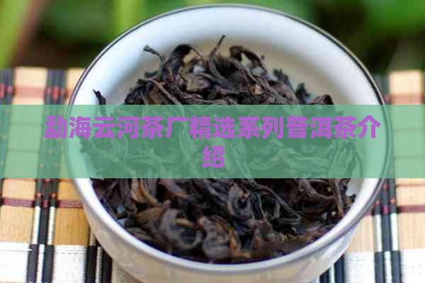 勐海云河茶厂精选系列普洱茶介绍