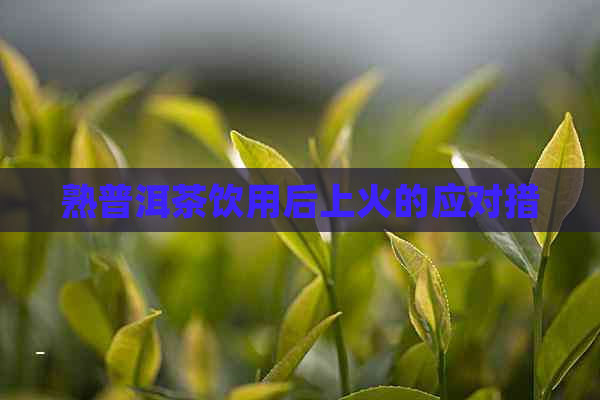 熟普洱茶饮用后上火的应对措