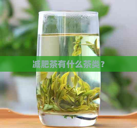 减肥茶有什么茶类？