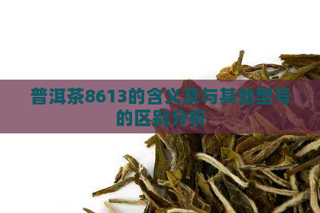 普洱茶8613的含义及与其他型号的区别分析