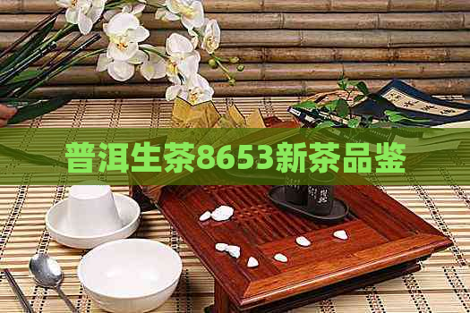 普洱生茶8653新茶品鉴