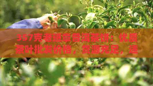 357克老班章普洱茶饼：优质茶叶批发价格，货源充足，适合阿里生茶爱好者