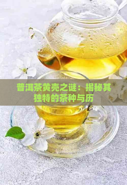 普洱茶黄壳之谜：揭秘其独特的茶种与历