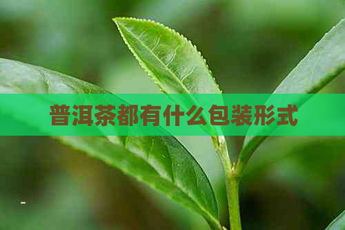 普洱茶都有什么包装形式