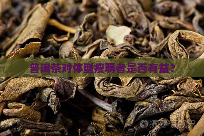 普洱茶对体型瘦弱者是否有益？