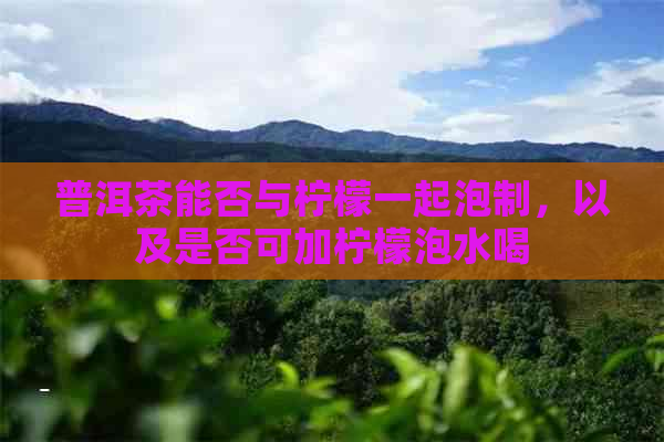 普洱茶能否与柠檬一起泡制，以及是否可加柠檬泡水喝