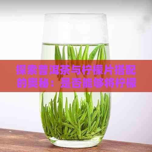 探索普洱茶与柠檬片搭配的奥秘：是否能够将柠檬片加入普洱茶中饮用？