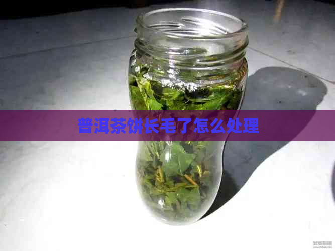 普洱茶饼长毛了怎么处理