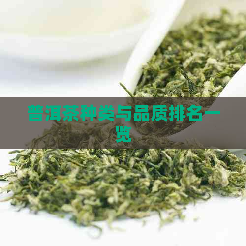 普洱茶种类与品质排名一览