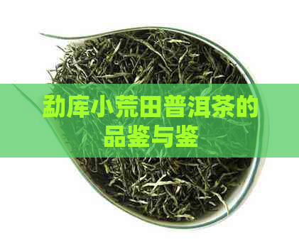 勐库小荒田普洱茶的品鉴与鉴