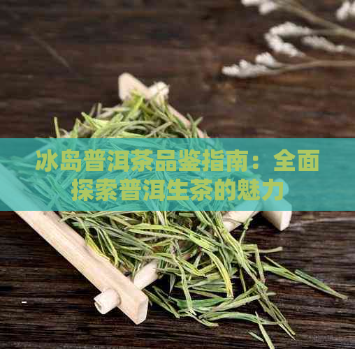 冰岛普洱茶品鉴指南：全面探索普洱生茶的魅力