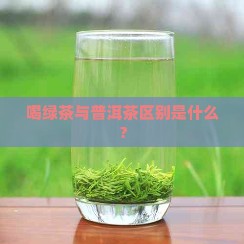 喝绿茶与普洱茶区别是什么？