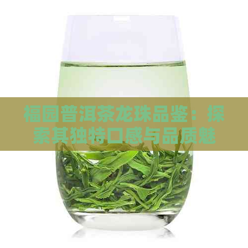 福园普洱茶龙珠品鉴：探索其独特口感与品质魅力