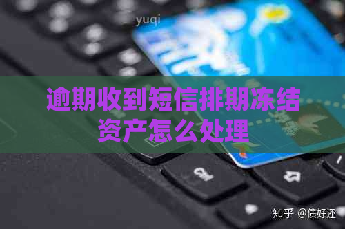 逾期收到短信排期冻结资产怎么处理