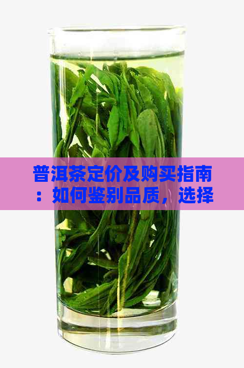 普洱茶定价及购买指南：如何鉴别品质，选择适合您的普洱茶