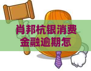 肖邦杭银消费金融逾期怎么办