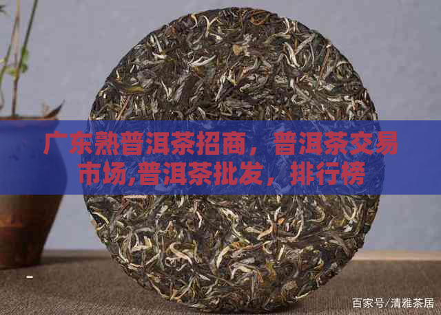 广东熟普洱茶招商，普洱茶交易市场,普洱茶批发，排行榜