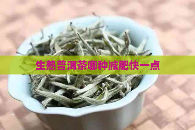 生熟普洱茶哪种减肥快一点