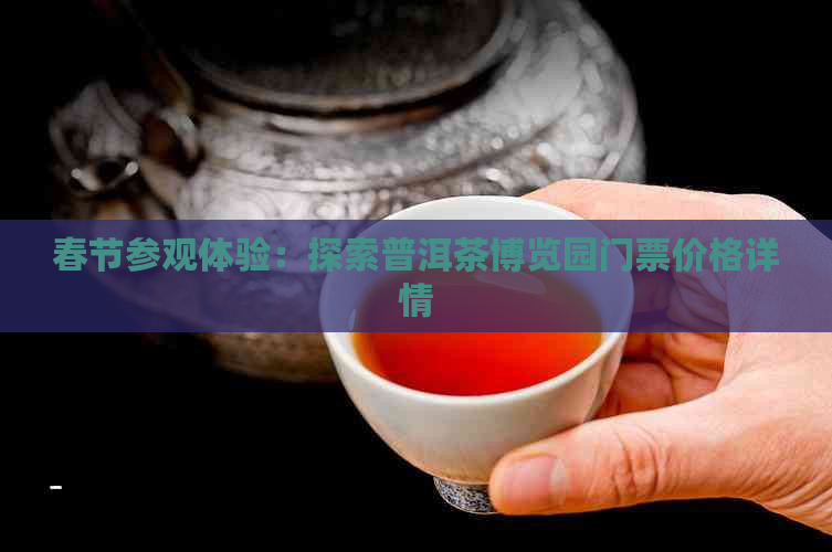 春节参观体验：探索普洱茶博览园门票价格详情