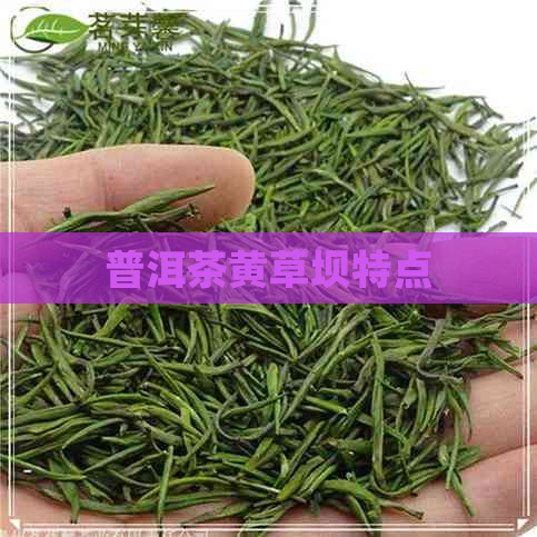 普洱茶黄草坝特点