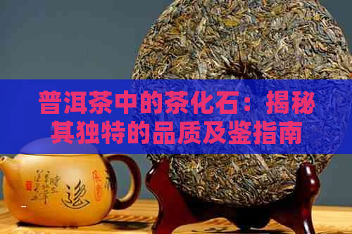 普洱茶中的茶化石：揭秘其独特的品质及鉴指南