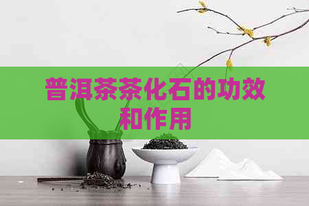 普洱茶茶化石的功效和作用