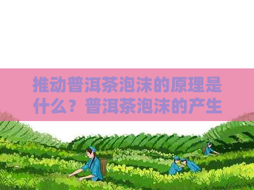 推动普洱茶泡沫的原理是什么？普洱茶泡沫的产生原理及经济影响