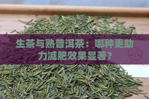 生茶与熟普洱茶：哪种更助力减肥效果显著？