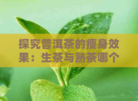 探究普洱茶的瘦身效果：生茶与熟茶哪个更适合减肥？