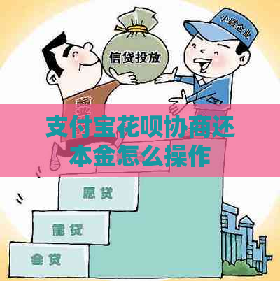 支付宝花呗协商还本金怎么操作