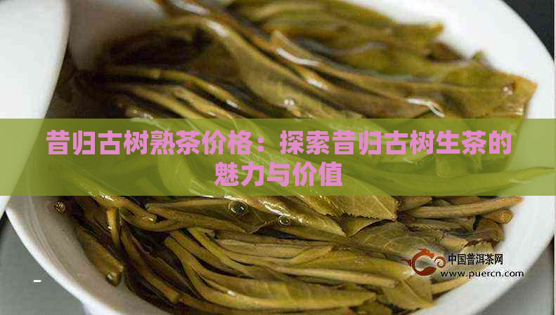 昔归古树熟茶价格：探索昔归古树生茶的魅力与价值