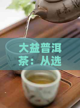 大益普洱茶：从选料到鉴，全面解析这一茶界珍品的独特魅力