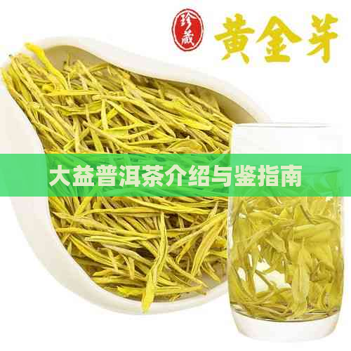 大益普洱茶介绍与鉴指南