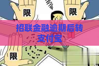 招联金融逾期后转支付宝