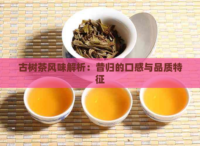 古树茶风味解析：昔归的口感与品质特征