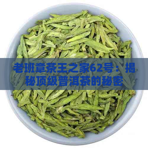 老班章茶王之家62号：揭秘顶级普洱茶的秘密