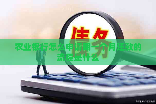 农业银行怎么申请期一个月还款的流程是什么