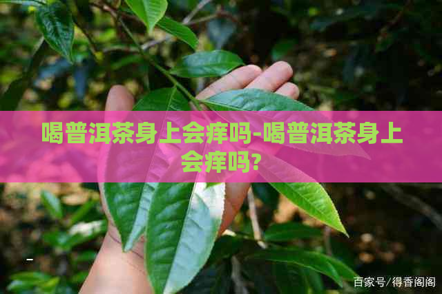 喝普洱茶身上会痒吗-喝普洱茶身上会痒吗?