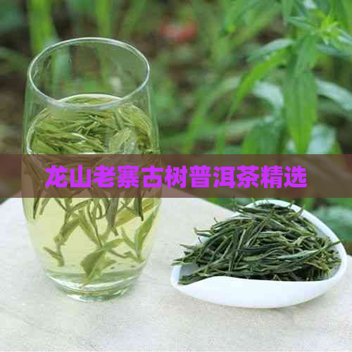 龙山老寨古树普洱茶精选