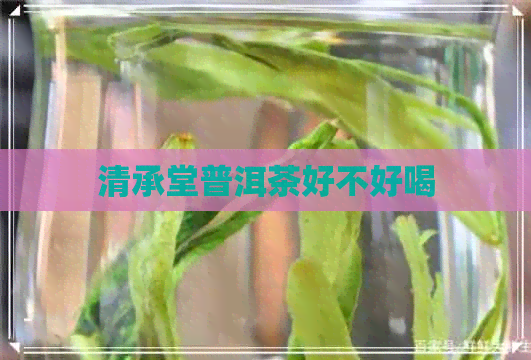 清承堂普洱茶好不好喝