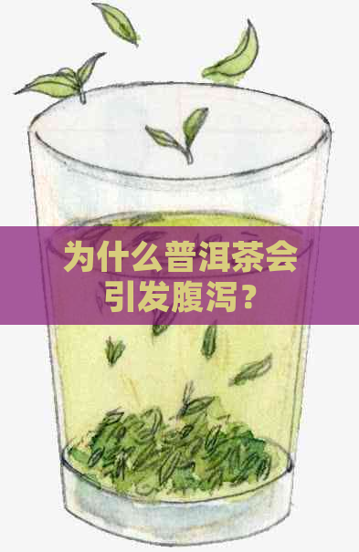 为什么普洱茶会引发腹泻？