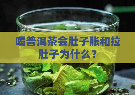 喝普洱茶会肚子胀和拉肚子为什么？