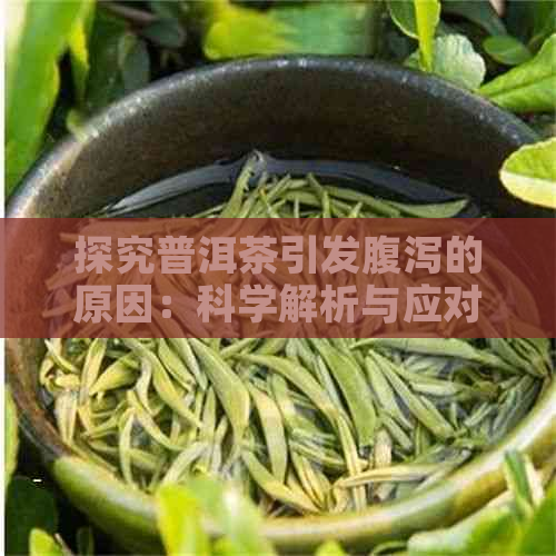 探究普洱茶引发腹泻的原因：科学解析与应对策略