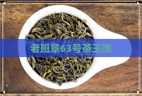 老班章63号茶王地