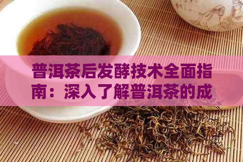 普洱茶后发酵技术全面指南：深入了解普洱茶的成熟过程