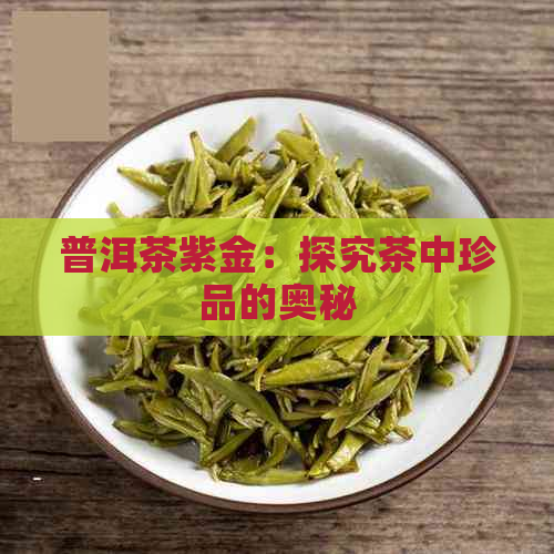 普洱茶紫金：探究茶中珍品的奥秘