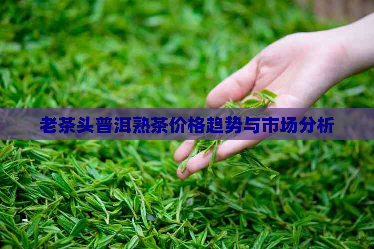 老茶头普洱熟茶价格趋势与市场分析