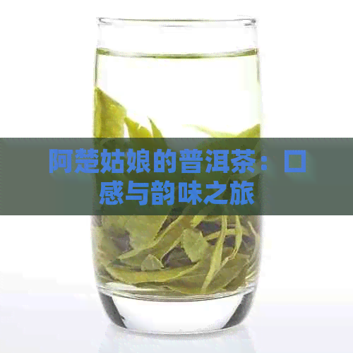 阿楚姑娘的普洱茶：口感与韵味之旅